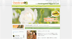 Desktop Screenshot of chandra-gate.com